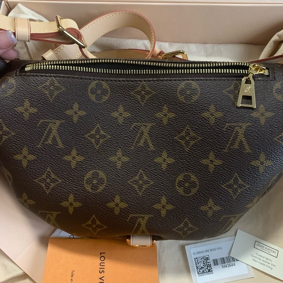 Louis Vuitton Bumbag - Picture 5 of 11